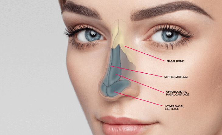 procedure rhinoplasty o1